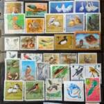 Birds Thematic Stamp Collection 2