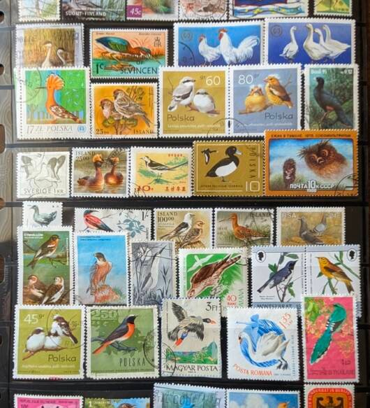 Birds Thematic Stamp Collection 2